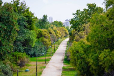 Şehrin ana parkı, Jardines del Turia, yukarıdan görüldüğü gibi, Valencia, İspanya