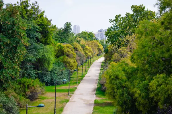 Şehrin ana parkı, Jardines del Turia, yukarıdan görüldüğü gibi, Valencia, İspanya