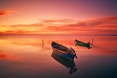  Romanya, Aralık 2023: Ayı kürkü ve Romen gelenekleri giymiş bir adam, her yıl sonunda düzenlenen 