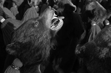  Romanya, Aralık 2023: Ayı kürkü ve Romen gelenekleri giymiş bir adam, her yıl sonunda düzenlenen 