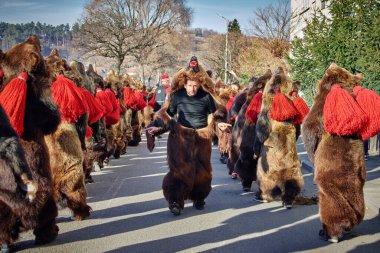  Romania, December 2023: Local man dressed in bear fur, Romanian traditions, participates in the bear dance in the Traditions Festival 