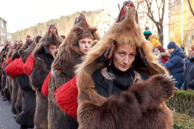 Romania, December 2023: Local man dressed in bear fur, Romanian traditions, participates in the bear dance in the Traditions Festival 