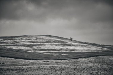 01. Sahada karlı kış manzarasının fotoğrafı.