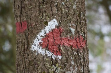 Dağ patikalarında yönlendirme işaretleri 3