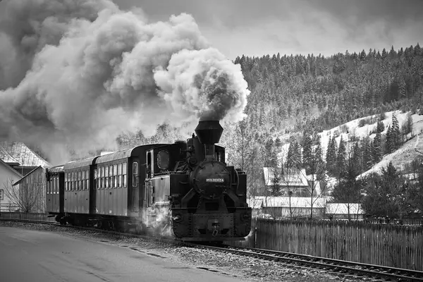 Bucovina 'da buhar treni