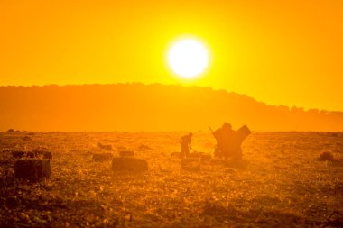Çiftçi tarlada ot topluyor.