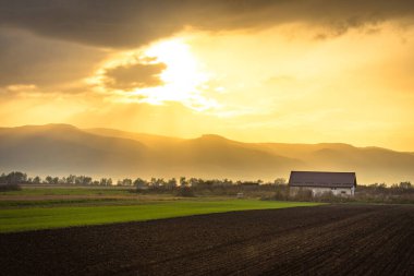 Sonbaharda tarım ürünleri üzerinde gün batımı