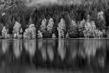 Sonbahar gölünde ormanlı yansımalar, Sf Ana Gölü