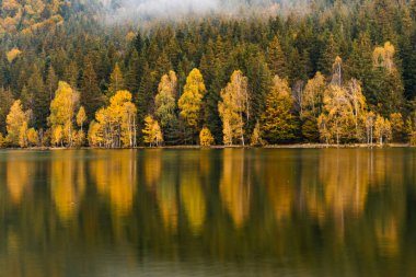 Sonbahar gölünde ormanlı yansımalar, Sf Ana Gölü