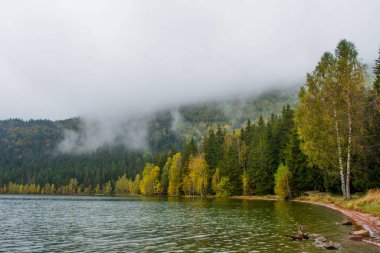 Sonbahar gölünde ormanlı yansımalar, Sf Ana Gölü