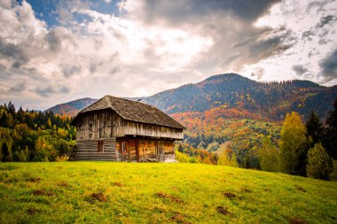 Dağlardaki güzel sonbahar renkli orman.