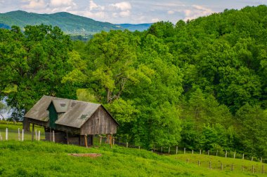 Romanya 'da yaz dağı manzarası