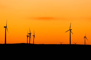 Dobrogea 'da gün batımında rüzgar türbinleri