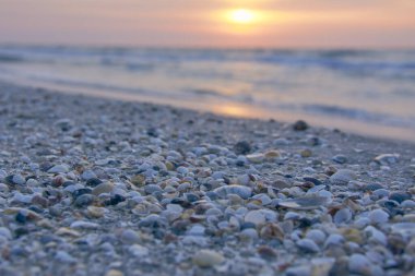 Karadeniz sahilinde deniz kabuklarıyla gün doğumu