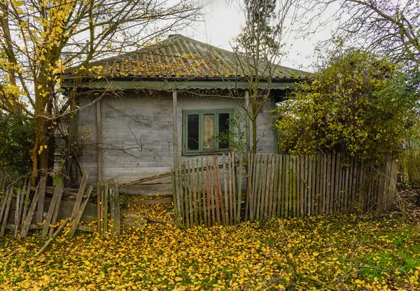 Romanya 'daki terk edilmiş kır evi