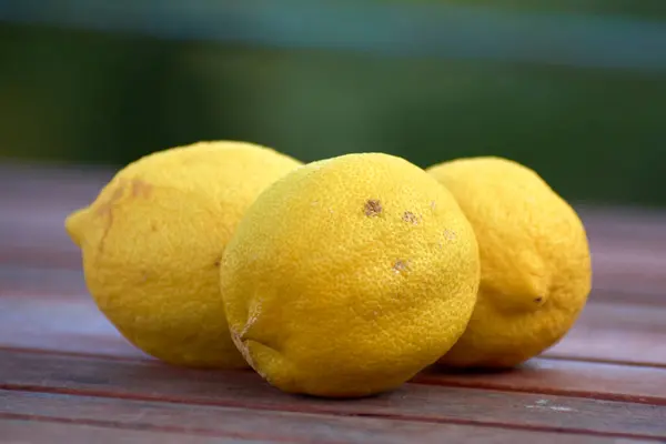 Lefkada 5 adasında meyveli limonlar