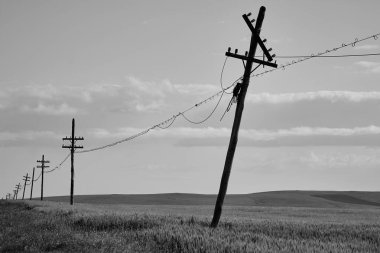 Ahşap telefon direği arka planda izole edildi