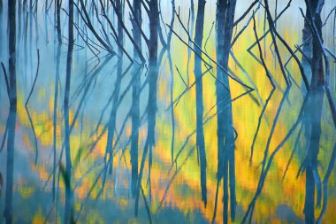 Sonbahar gündoğumu manzarası. Ağaçlar sabah Cuejdel Gölü 'nde suya yansıyor.