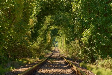 Campulung Muscel demiryolundaki doğal tünel.