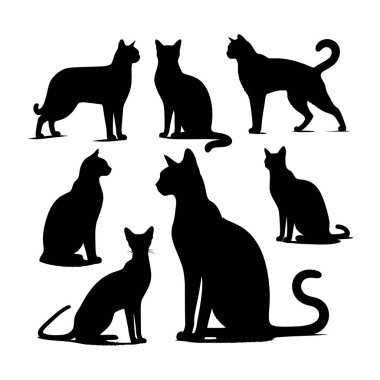 Çeşitli Pozisyonlarda Siyah Kedi Silüetleri