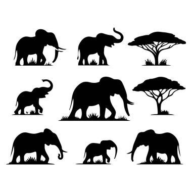 Fil siluet vektörünün koleksiyonu