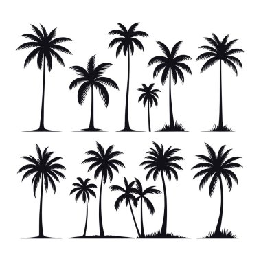 Palmiye ağaçlarının siluetleri vektör çizimi