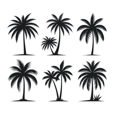 Palmiye ağaçlarının siluetleri vektör çizimi