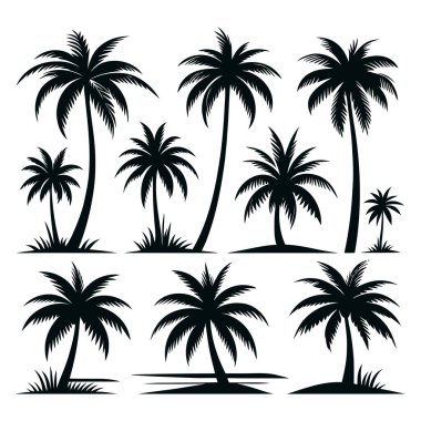 Palmiye ağaçlarının siluetleri vektör çizimi