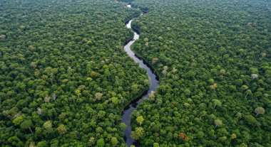 Güzel doğa arkaplan duvar kağıdı