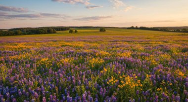 Güzel doğa arkaplan duvar kağıdı