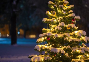 Mutlu Noel ağacı geçmişi