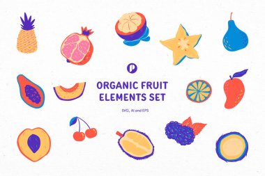 Adorable Organic Fruit Elements Set clipart