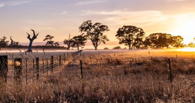 Gün doğumunda Dondurucu Tarla
