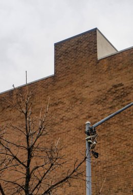 Görüntü, büyük bir tuğla binanın önünde yaprakları olmayan bir ağacı gösteriyor. Sahne kasvetli bir günde çekilmiş gibi görünüyor..