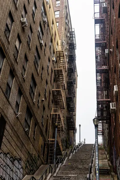 İki eski tuğla bina arasında dar bir merdiven var. Yangın merdivenleri ve duvarlarında grafiti var. Binalar şehir ortamında gibi görünüyor..