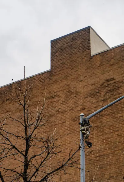 Görüntü, büyük bir tuğla binanın önünde yaprakları olmayan bir ağacı gösteriyor. Sahne kasvetli bir günde çekilmiş gibi görünüyor..