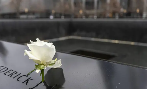 Anıt bir taşın üzerine yerleştirilmiş beyaz bir gül. Saygı ve hatırayı simgeliyor. Taş bir isim taşıyor ve arka plan da barışçıl ve yansıtıcı bir ortam olduğunu gösteriyor..