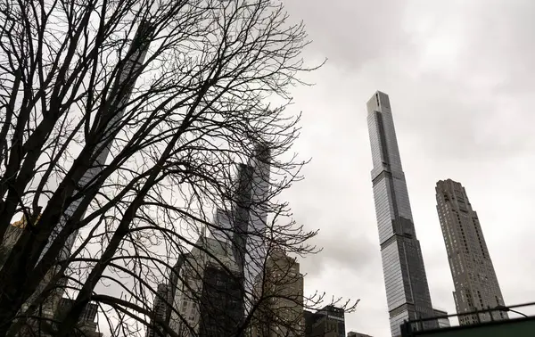 Görüntü, bulutlu bir gökyüzüne karşı yüksek binalar ve çıplak ağaçlarla dolu bir şehir manzarası yakalıyor. Gökdelenler manzaraya hakim..