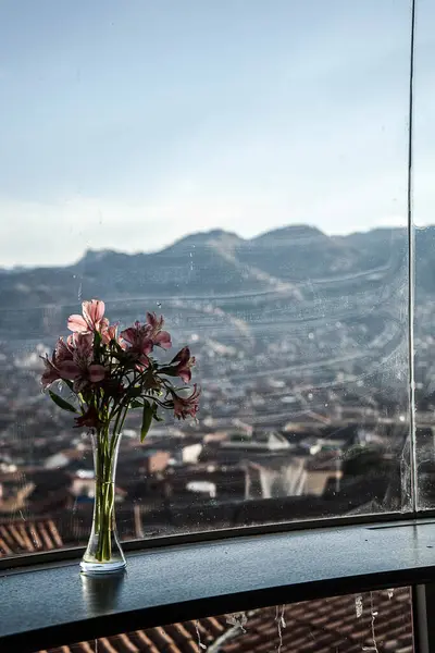 Pencerenin kenarındaki pembe çiçeklerden oluşan bir vazo. Arka planda muhteşem bir şehir manzarası ve dağlar var. Huzurlu ve huzurlu bir sahne, durgunluk anını yakalıyor..