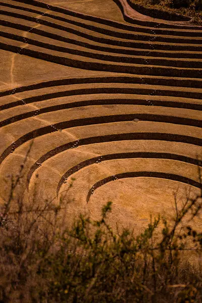 Görüntü kıvrımlı teraslı bir alanın havadan görünüşünü gösteriyor. Teraslar boş ve aşağısı yeşilliklerle çevrili..