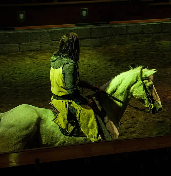 Zırhlı bir ortaçağ şövalyesi arenada beyaz bir ata biniyor. Şövalye siyah kuşaklı sarı ve gri bir ceket giyiyor..