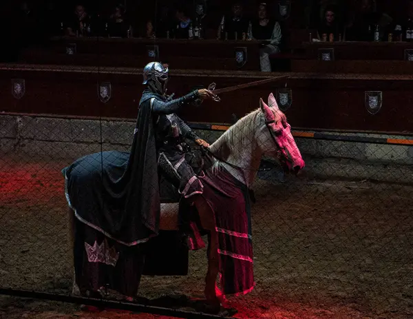 Zırhlı bir şövalye mızrak dövüşünde ata biner, kılıç tutar ve savaşa hazırlanır. Atmosfer gergin ve ortaçağdan kalma..