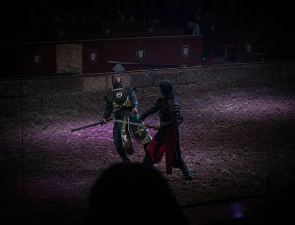 İki ortaçağ şövalyesi bir arenada düello yapıyor. Zırh giymişler ve kılıç tutuyorlar. Güç ve becerilerini sınamak için birbirleriyle yüzleşmeye hazırlar..