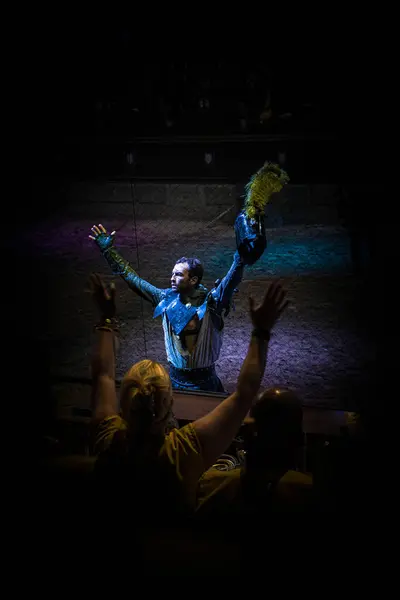 Mavi bir kostüm giymiş, tüylü bir aksesuar giymiş bir sanatçı, kolları açık bir şekilde sahnede duruyor ve buna karşılık olarak ellerini kaldıran seyircilerden biriyle yakınlaşıyor. Sahne performans arasında dinamik bir etkileşim yakalar.