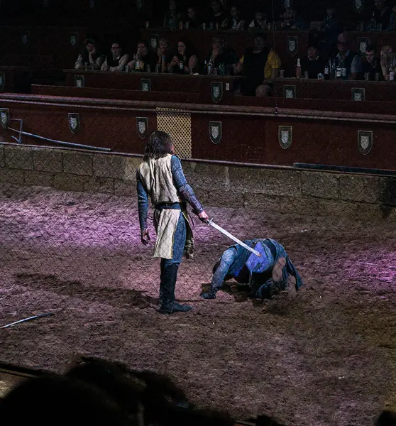 Loş bir arenada, seyirci tribünden izlerken bir şövalye rakibini mağlup eder. Sahne yoğun ve büyüleyici..