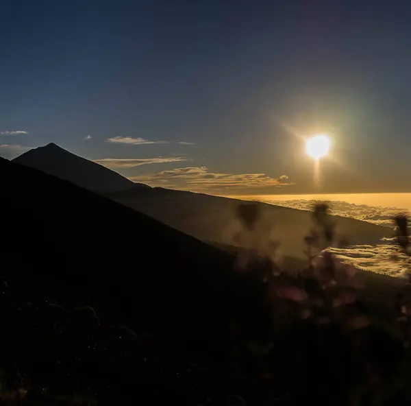 Görüntü, önünde bulutlar ve çiçekler olan bir dağ sırasının üzerinde gün doğumunun huzurlu bir anını yakalar. Güneş ışıl ışıl parlıyor, manzaraya sıcak bir parıltı saçıyor..