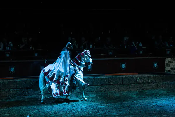 At sırtında bir şövalye ortaçağ mızrak dövüşü turnuvasına katılıyor. Parlak zırh ve koruyucu bir kılıf giyip seyircilere karşı hazırlanıyor. Sahne kahramanlık ve rekabet hissi yayıyor..