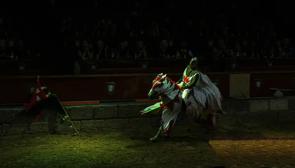 Kırmızı ve beyaz madalyalı, yeşil ve beyaz zırhlı beyaz atlı bir şövalye, arka planda seyircilerle mızrak dövüşü yapan bir arenada at sürüyor. Atmosfer ortaçağ ve heyecan verici..