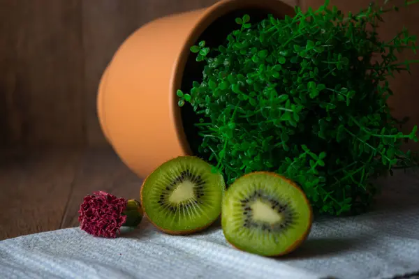 Kivi, koyu kırmızı çiçek ve yeşil yapraklı vazoda düşmüş bir bitki.