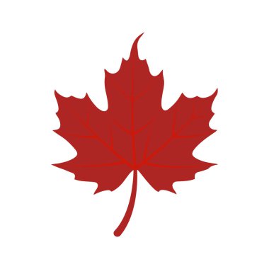 Akçaağaç, Yaprak, Kırmızı Yaprak, Yaprak ikonu, Kanada akçaağaç ve Akçaağaç Yaprak Sanat Çizimi.